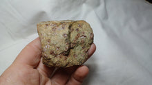 Load image into Gallery viewer, Eclogite à grenats
