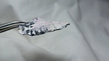 Load image into Gallery viewer, Rhodochrosite des Pyrénées
