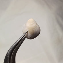 Load image into Gallery viewer, Psilothyris chloris ?
