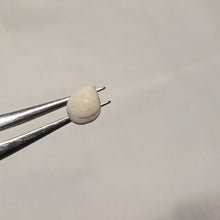 Load image into Gallery viewer, Psilothyris chloris ?
