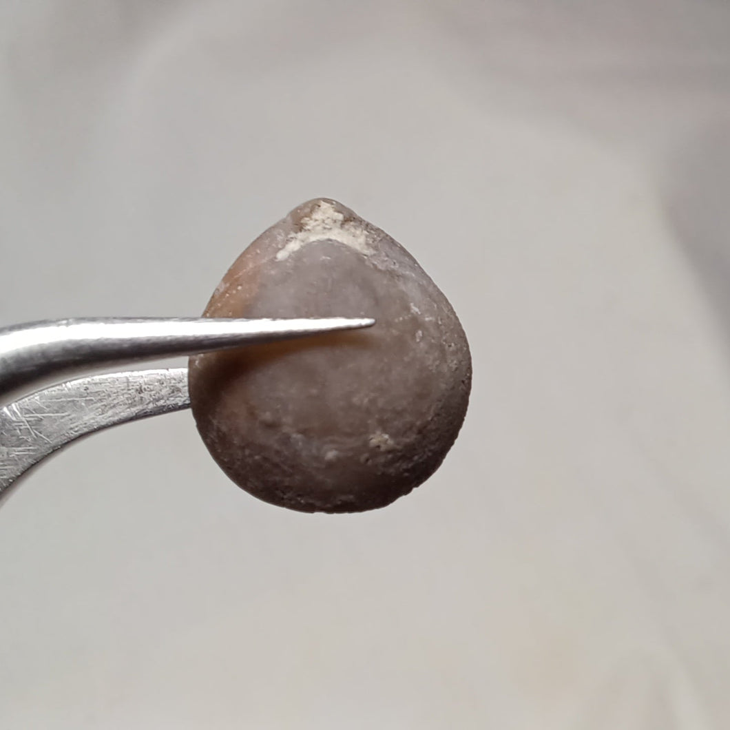 Psilothyris melendezi ?