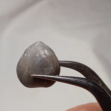 Charger l&#39;image dans la galerie, Psilothyris melendezi ?
