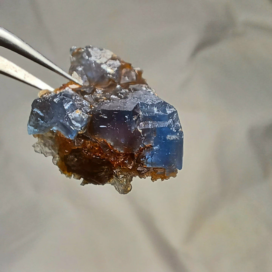 Fluorine du Pont de la Graselle, Tarn
