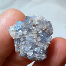 Load image into Gallery viewer, Fluorine de Valzergues

