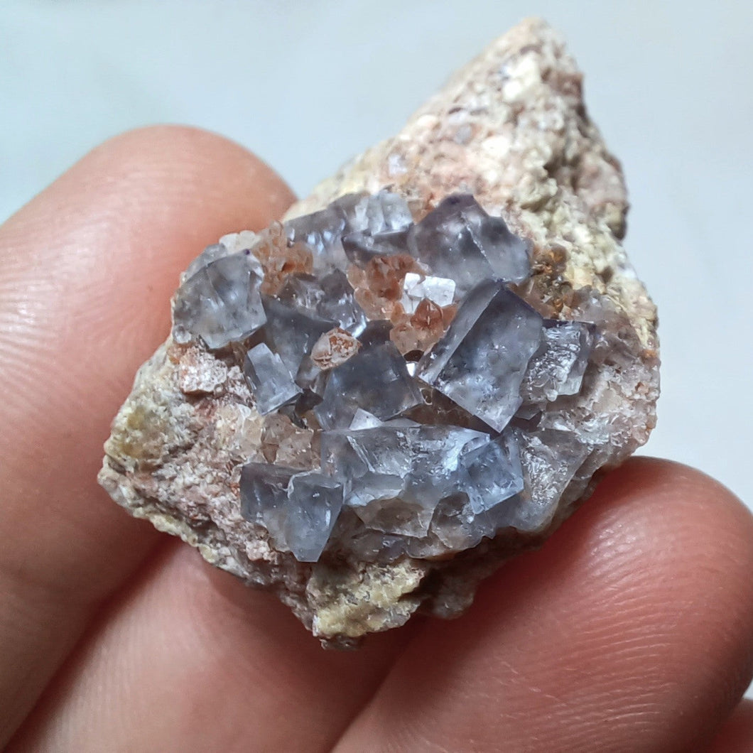 Fluorine de Valzergues