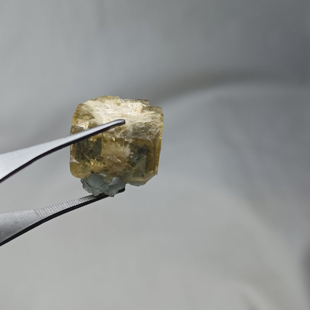 Fluorine de Barlet