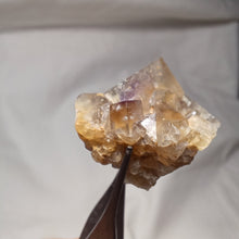 Load image into Gallery viewer, Fluorine de Clersanges
