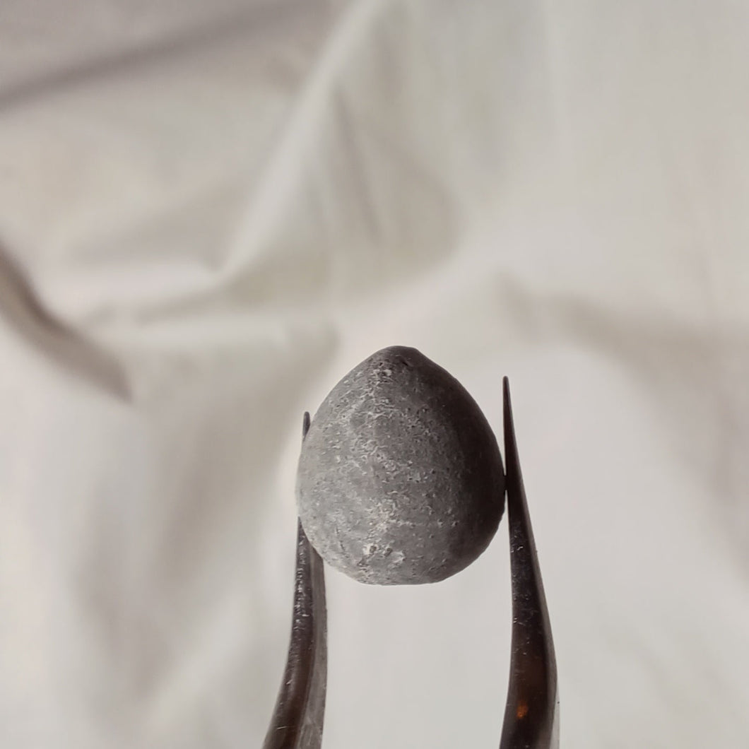 Tetraromania ovulum