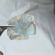 Charger l&#39;image dans la galerie, Fluorine de Steingraben
