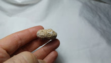 Charger l&#39;image dans la galerie, Romanocidaris pseudofilograna
