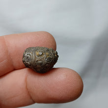 Charger l'image dans la galerie, Reboulicidaris rebouli
