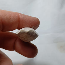 Charger l&#39;image dans la galerie, Dorsoplicathyris lineatula
