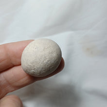 Charger l&#39;image dans la galerie, Hungaresia ovum
