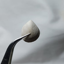 Charger l'image dans la galerie, Zeilleria subbuculenta
