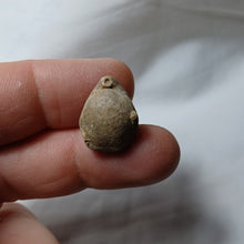 Load image into Gallery viewer, Pachythyris arduennensis
