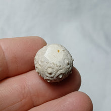 Charger l'image dans la galerie, Santonicidaris vignyensis
