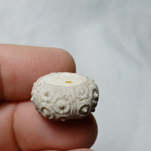 Charger l'image dans la galerie, Santonicidaris vignyensis
