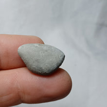 Charger l'image dans la galerie, Archiacia sandalina
