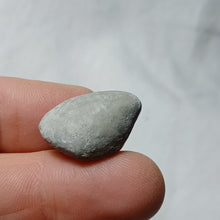 Charger l'image dans la galerie, Archiacia sandalina
