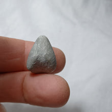 Charger l'image dans la galerie, Archiacia sandalina
