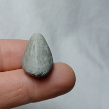 Charger l'image dans la galerie, Archiacia sandalina
