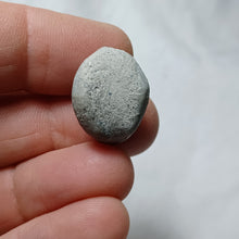 Charger l'image dans la galerie, Archiacia sandalina
