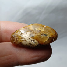 Charger l'image dans la galerie, Ambre de Charente Maritime
