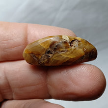 Charger l'image dans la galerie, Ambre de Charente Maritime
