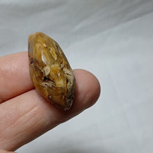 Charger l'image dans la galerie, Ambre de Charente Maritime
