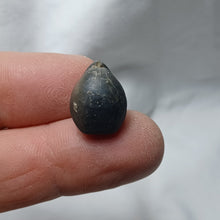 Load image into Gallery viewer, Obovothyris obovata
