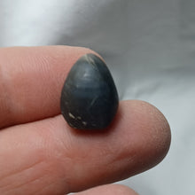 Load image into Gallery viewer, Obovothyris obovata
