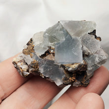 Charger l'image dans la galerie, Fluorine de Margou
