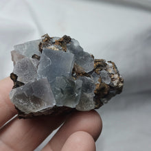 Charger l'image dans la galerie, Fluorine de Margou
