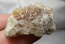 Load image into Gallery viewer, Fluorine de Valzergues
