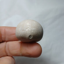 Charger l'image dans la galerie, Echinocorys orbis
