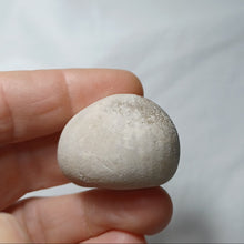 Charger l'image dans la galerie, Echinocorys orbis
