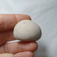 Charger l'image dans la galerie, Echinocorys orbis
