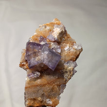 Charger l'image dans la galerie, Fluorine de Maxonchamp
