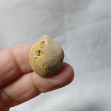 Charger l'image dans la galerie, Monsarsdithyris ronzevauxi
