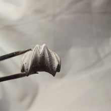 Charger l'image dans la galerie, Homoeorhynchia cynocephala
