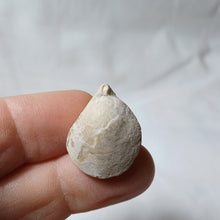 Charger l'image dans la galerie, Juralina subformosa
