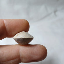 Charger l'image dans la galerie, Juralina subformosa
