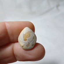 Charger l'image dans la galerie, Juralina subformosa
