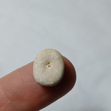 Charger l'image dans la galerie, Pyrinodia icaunensis
