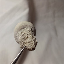 Charger l'image dans la galerie, Hemiaster angustipneustes
