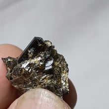 Charger l'image dans la galerie, Tourmaline Dravite de Vendée
