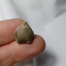 Charger l'image dans la galerie, Argovithytis bisuffarcinata
