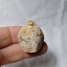 Charger l'image dans la galerie, Dorsoplicathyris subinsignis
