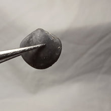 Charger l'image dans la galerie, Zeilleria cf. anglica
