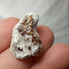 Load image into Gallery viewer, Tourmaline Dravite de Vendée
